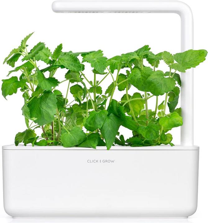 Immagine prodotto Click and Grow Erba gatta (Semi di erbe)