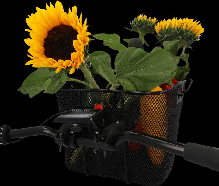 Actual product image Fischer E-Bike (11 l)