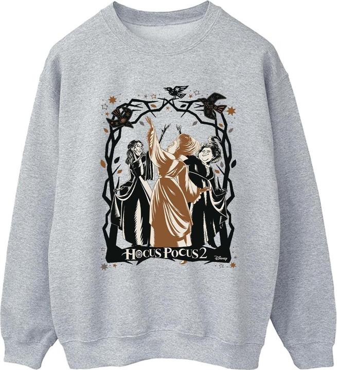 Disney Hocus Pocus Birds Sweatshirt (S)