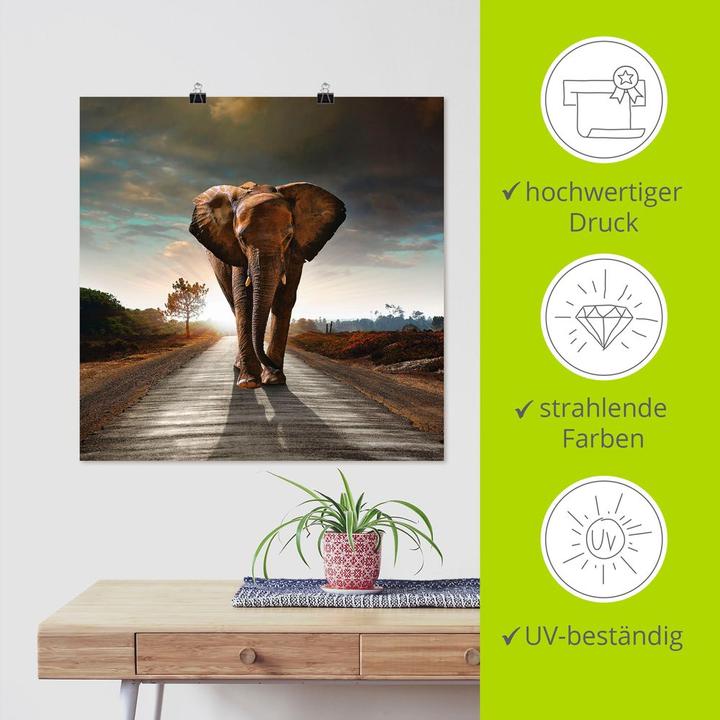 Image du produit Artland Un éléphant marche dans la rue T9QO (100 x 100 cm)