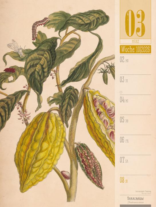 Immagine prodotto Culinarium - Küche, Kräuter, Kurioses - Vintage Wochenplaner Kalender 2026 (25 x 33 cm, Copertina rigida, Tedesco)