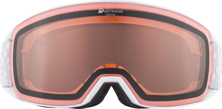Image du produit ALPINA SPORTS Nakiska Q