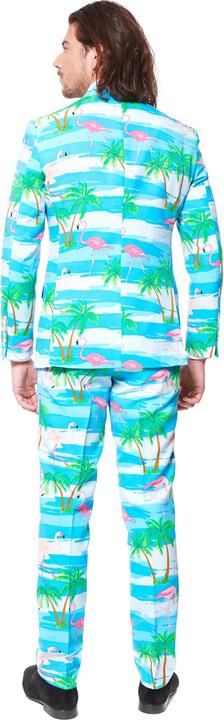 Image du produit OppoSuits Flaminguy (52)