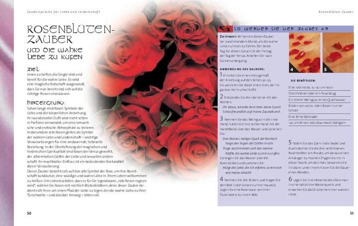 Immagine prodotto Das grosse Buch der Zaubersprüche (Tedesco, Ann-Marie Gallagher, 2004)