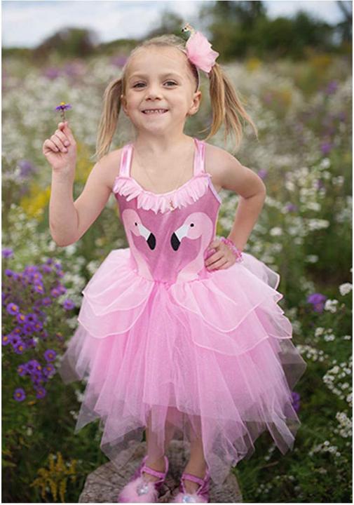 Creative Education Flamingo Kleid, 5-6 Jahre Kleid 76-86 cm lang, rosa Tüll, Haarreif (116)