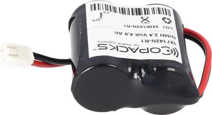 Actual product image AccuCell Notleuchtenakku F1x2 Baby C ersetzt Zumtobel 00072882 (1 pcs., Device specific, 4000 mAh, Battery + charger)