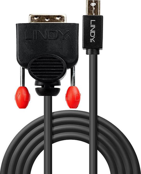 Actual product image Lindy Mini DisplayPort — DVI (2 m, DVI, DisplayPort)