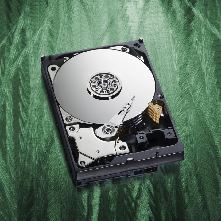 Immagine prodotto WD Caviar Green (3 TB, 3.5")