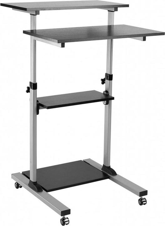 Roline PC-Steh-Arbeitsplatz