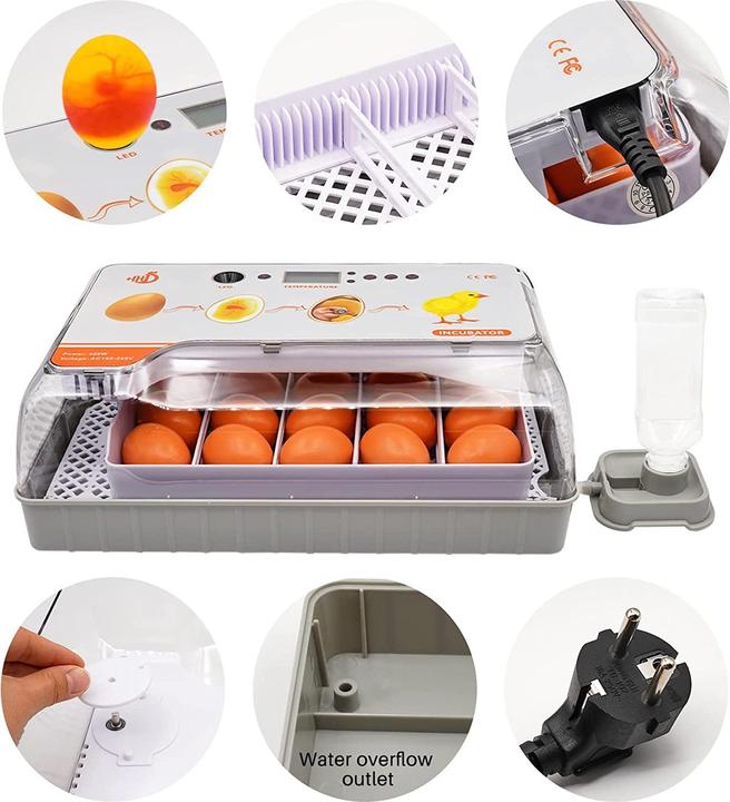 Actual product image MasXirch Inkubator