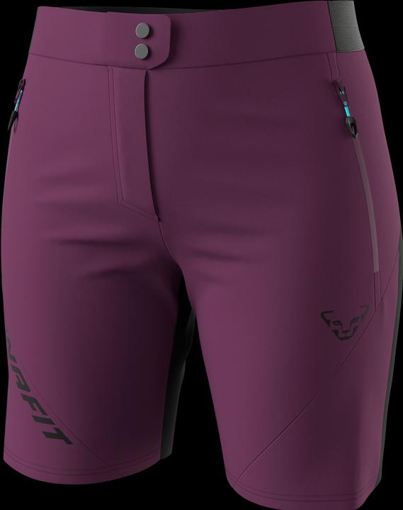 Actual product image Dynafit Transalper Light Dynastretch Shorts (L)
