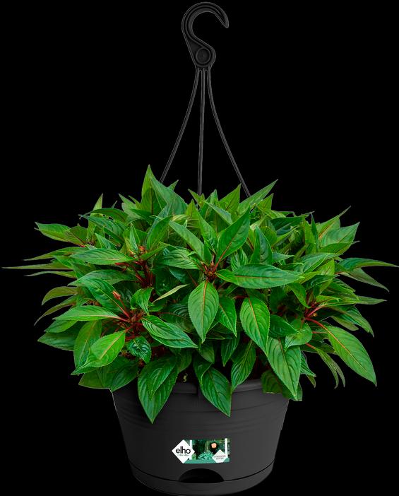 Produktbild Elho Blumenampel-Set Green Basics Kunststoff Ø 28 H 18 cm schwarz inkl. Halterung und Untersetzer (29 cm)