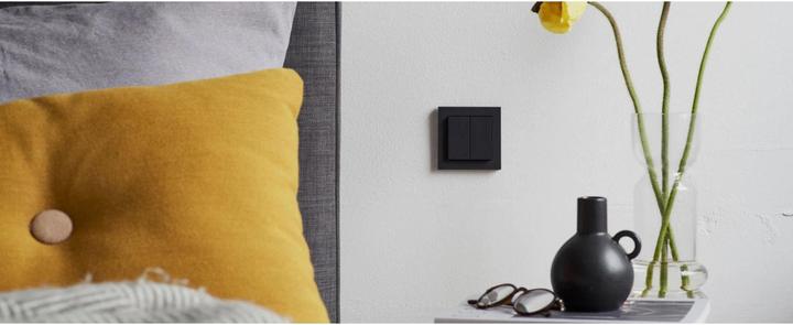 Actual product image Senic Friends of Hue