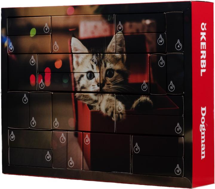 Produktbild Hauptner Adventskalender 2020 Katze