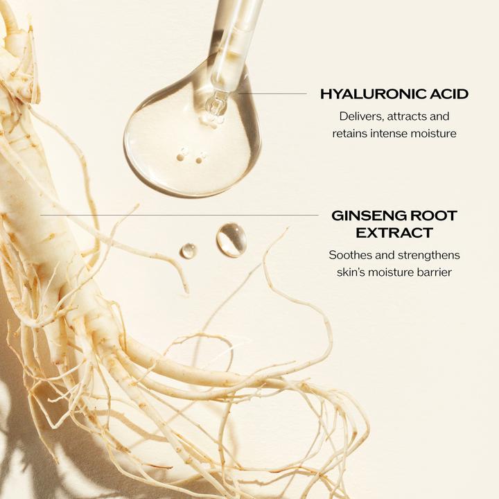 Image du produit Shiseido Essentials Energy Hydratant Crème Refill (50 ml)