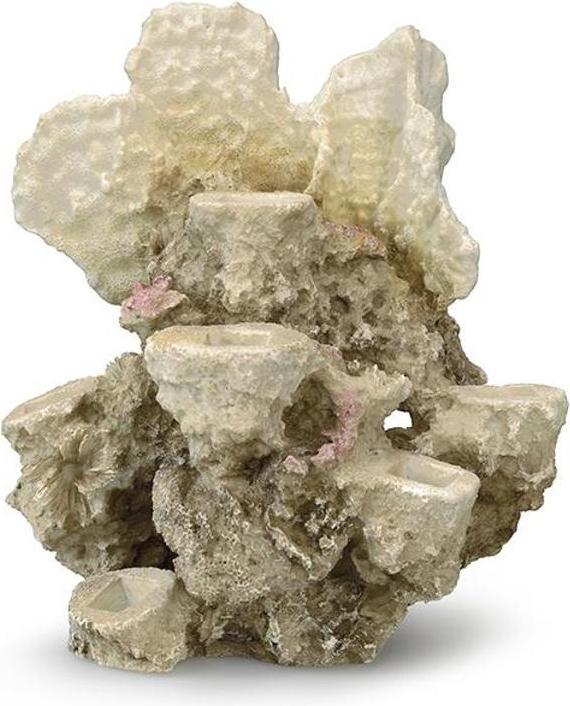 Image du produit EBI Aqua Della Coral Reef ml pour 6 coraux (Décoration, autres bâtiments)