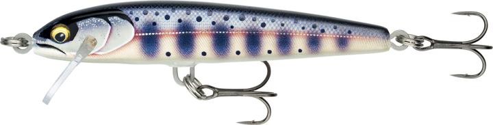 Image du produit Rapala Floater Elite