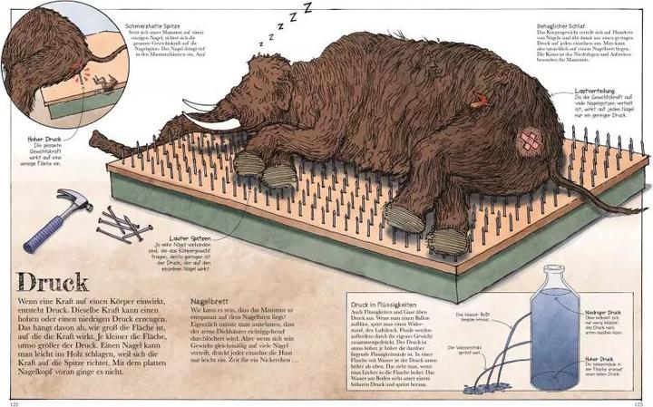 Produktbild Das Mammut-Buch Naturwissenschaften (Deutsch, David Macaulay, 2021)