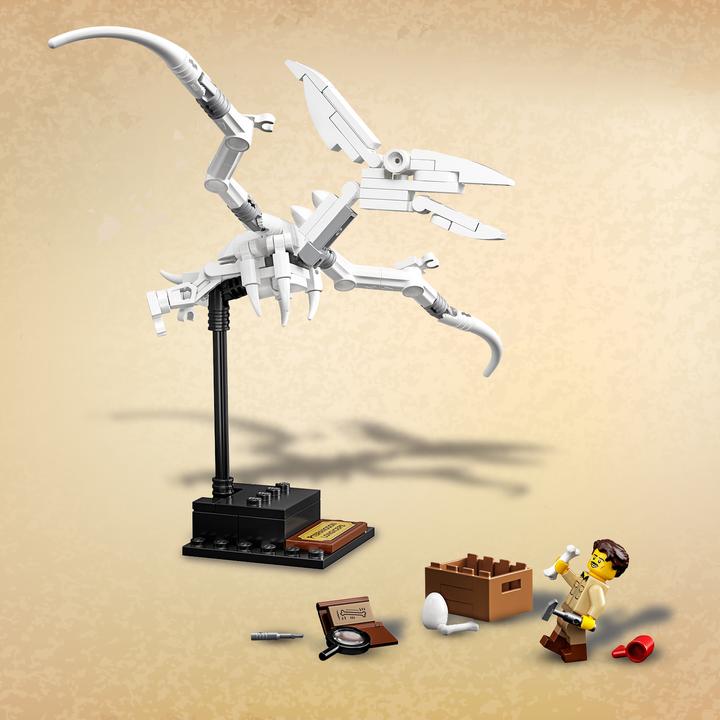 Image du produit LEGO Fossiles de dinosaures (21320, LEGO Ideas)