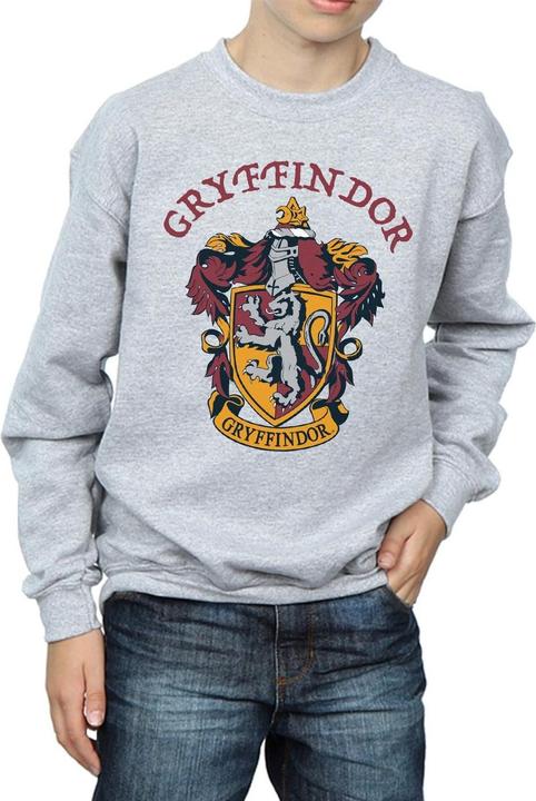 Image du produit - Sweat - Garçon (128)