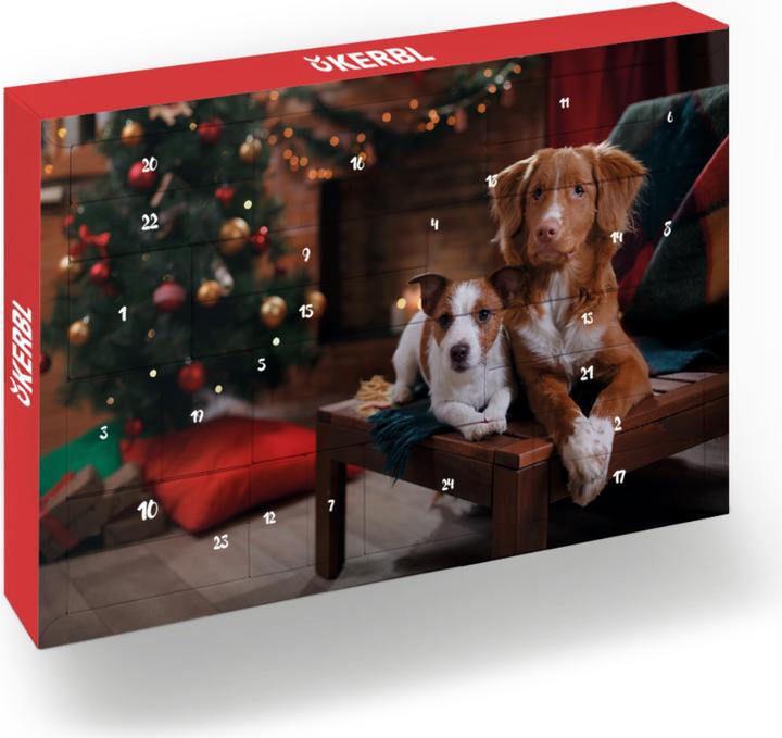 Hauptner Adventskalender 2020 Hund