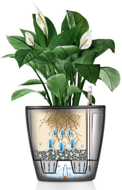 Produktbild Lechuza Classico (28.50 cm)