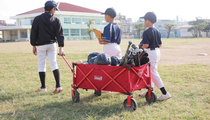 Actual product image Coleman Ladder trolley