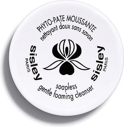 Actual product image Sisley Soapless Gentle Foaming Cleanser (Foam)