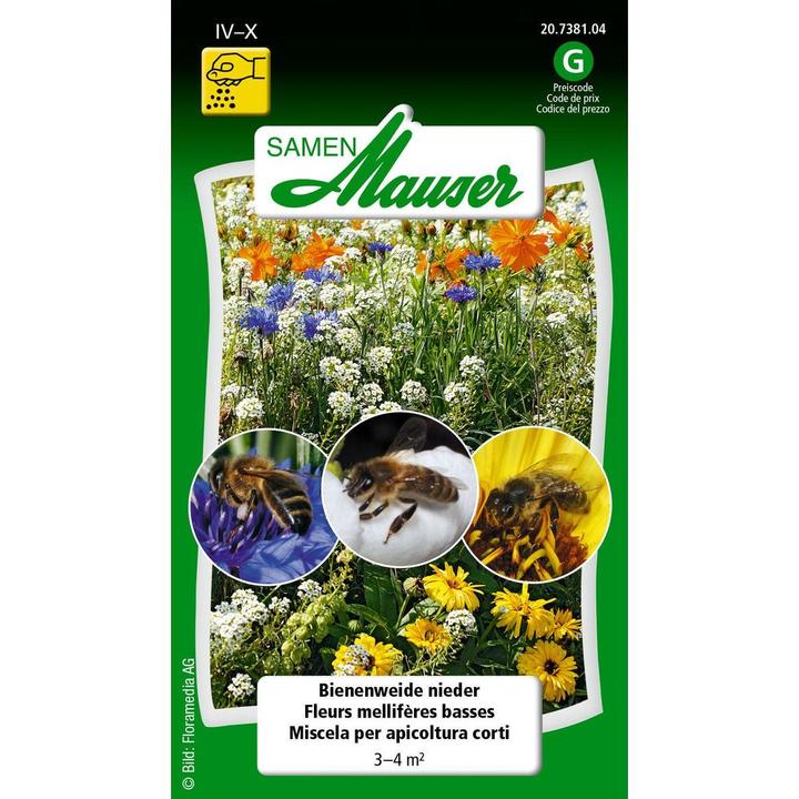 Actual product image Samen Mauser Bee pasture (Flower seeds)