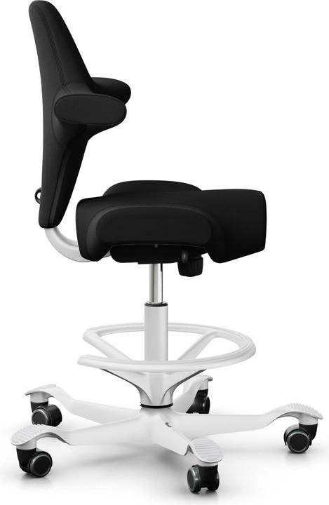 Actual product image HAG Capisco 8106