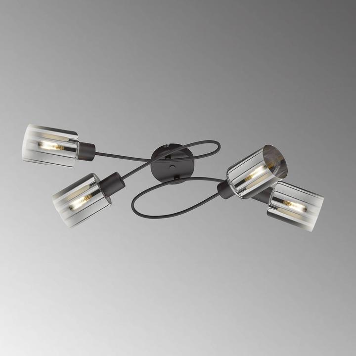 Image du produit Fischer & Honsel Honsel Plafonnier Iska - noir sable/verre fumé, à clair (21321) (4 lm, E14)