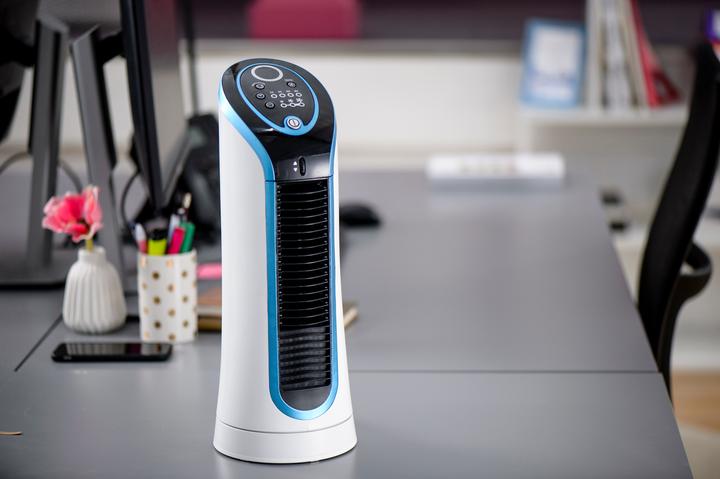 Actual product image Rowenta Eole Compact (60 dB)