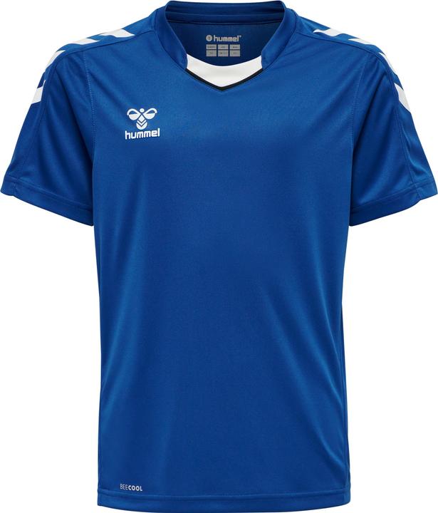 Trueblue
