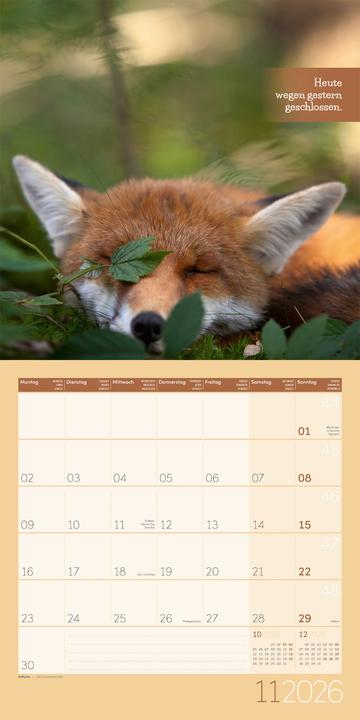 Produktbild Keep Smiling! Kalender 2026 - 30x30 (30 x 30 cm, Deutsch, Englisch, Französisch)