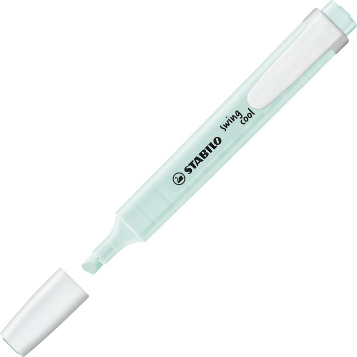 Immagine prodotto STABILO Swing cool edizione pastello (Turchese, 1 mm, 1 x)