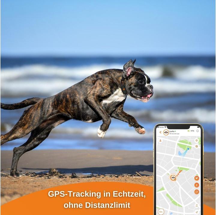 Actual product image Weenect GPS tracker (Dog)