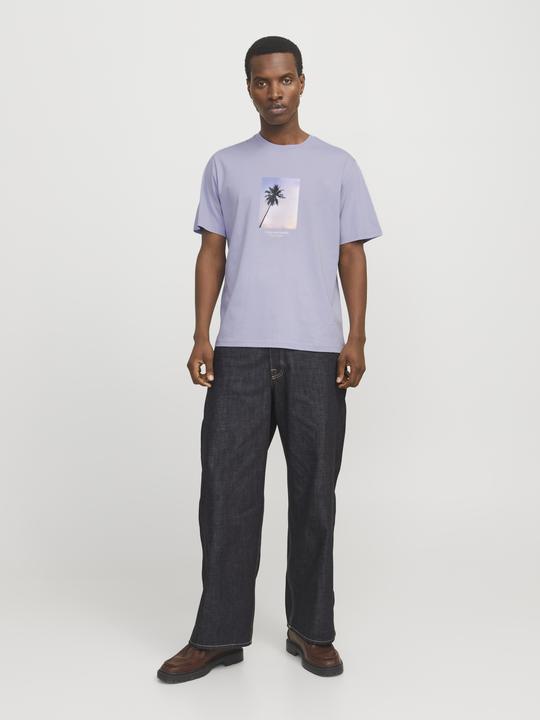 Produktbild Jack & Jones Jorvesterbro Picture Tee Ss Crew Neck Sn (XL)