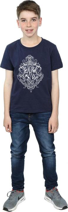 Image du produit - T-shirt HOGWARTS DRACO DORMIENS CREST - Garçon (140, 146)