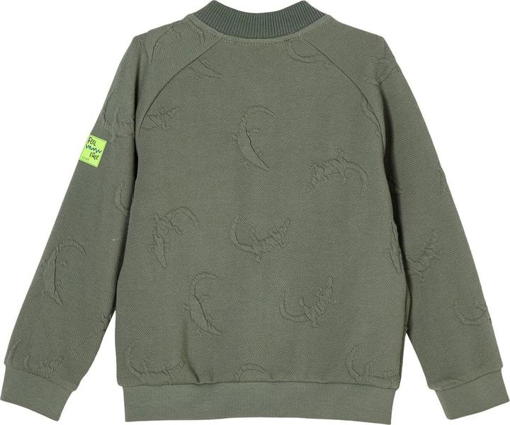 Produktbild S.Oliver Sweatjacke (98)