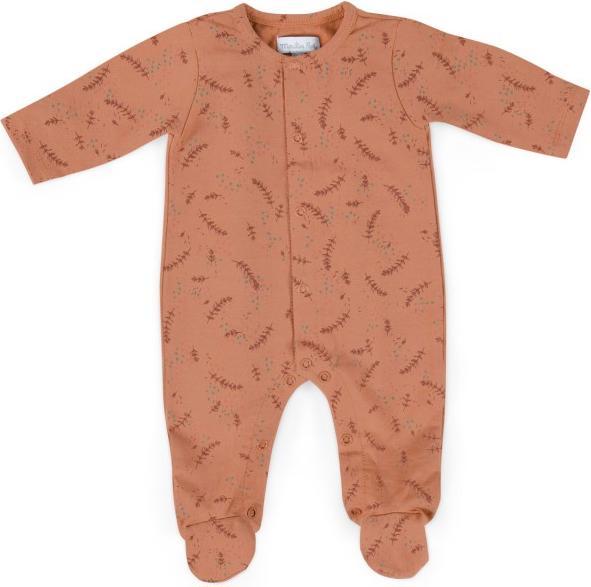 Image du produit Moulin Roty Pyjama couleur argile Trois Petits Lapins 12 mois (74)