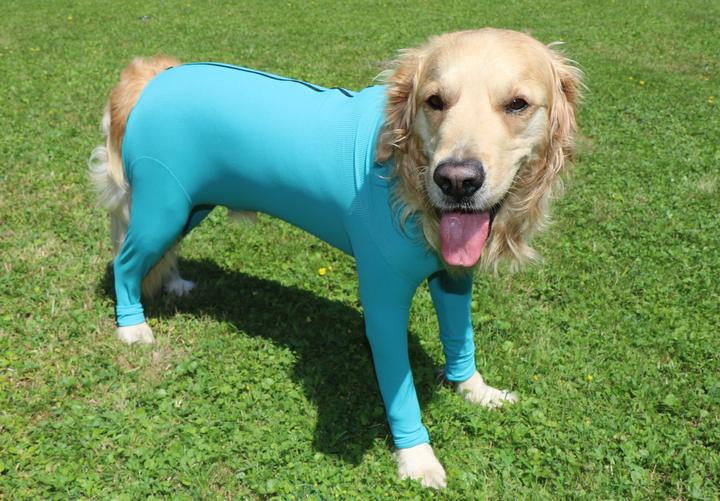 Immagine prodotto Vetmedcare Body per cani con zampe e zip (Cane)