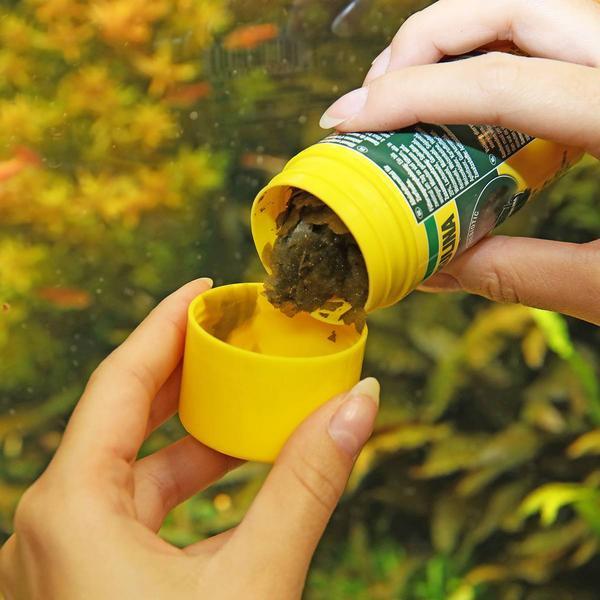 Actual product image JBL Aquaristik und Terraristik ProNovo SPIRULINA FLAKES M 100ml (Ornamental Fish, 100 ml)
