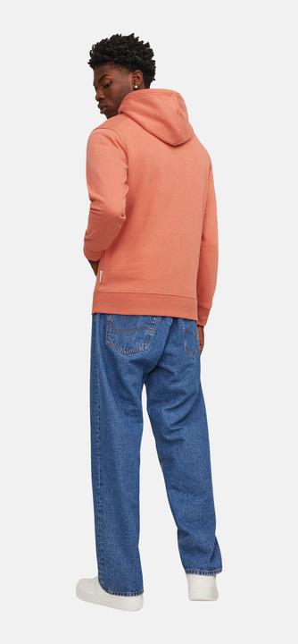 Image du produit Jack & Jones Sweat à capuche (M)