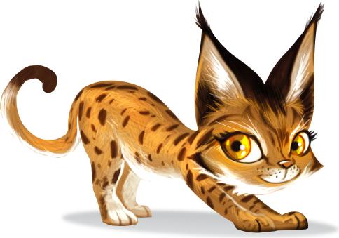 Image du produit Loki Kids 516009 - Zoo Run, jeu de société, pour 3-5 joueurs, à partir de 5 ans (Néerlandais)