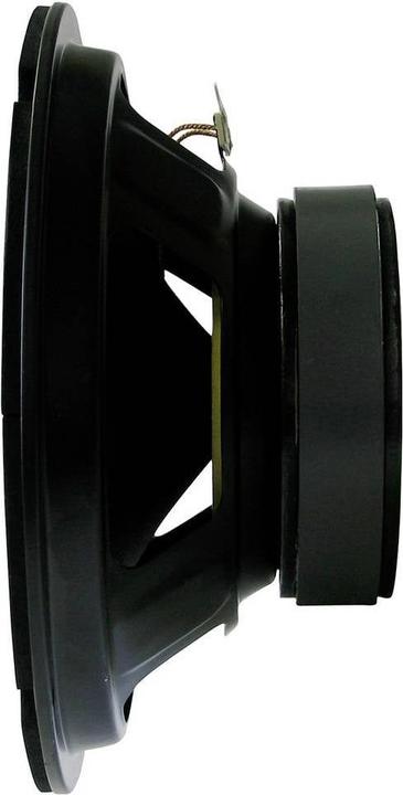 Actual product image Rockwood BLANKO PA Bass Fullrange 250 mm Guitar Speaker