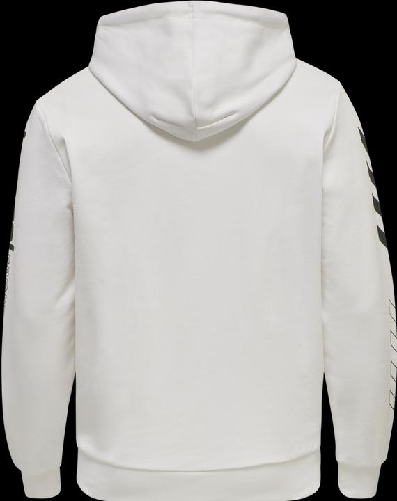 Actual product image hummel Lgc Birk Hoodie (XS)
