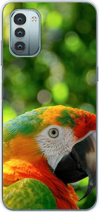 Parrot