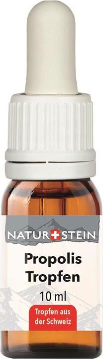 Image du produit Naturstein Propolis Tinkt (1 pièce(s), 80 g)