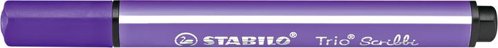 Viola