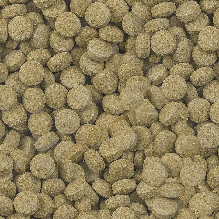 Produktbild Sera Viformo für Welse 85 Tabletten (Wels, 50 ml)